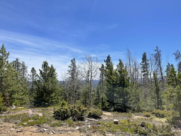 $165,000 | 1374 Jicarilla Trail, Red Feather Lakes, CO 80545