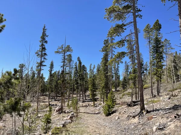 $165,000 | 1374 Jicarilla Trail, Red Feather Lakes, CO 80545