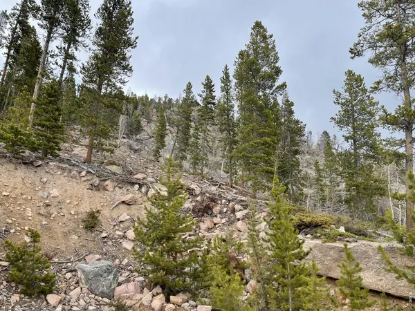 $165,000 | 1374 Jicarilla Trail, Red Feather Lakes, CO 80545