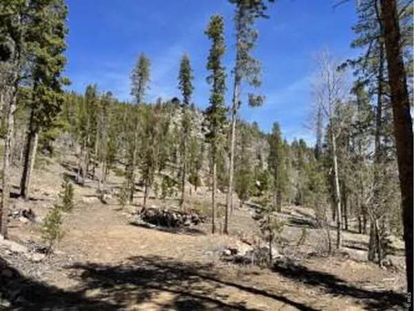 $165,000 | 1374 Jicarilla Trail, Red Feather Lakes, CO 80545