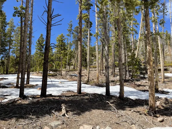 $165,000 | 1374 Jicarilla Trail, Red Feather Lakes, CO 80545