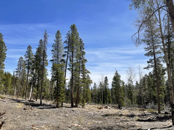 $165,000 | 1374 Jicarilla Trail, Red Feather Lakes, CO 80545