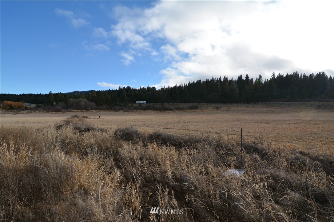 7 Lot Road Cle Elum, WA 98922 - Photo 3 of 8 Gallery Image 3