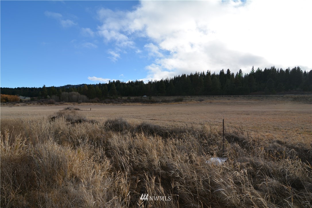 7 Lot Road Cle Elum, WA 98922 - Photo 4 of 8 Gallery Image 4