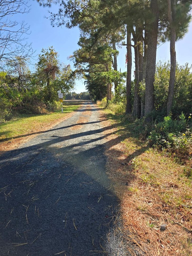 O Alicato Road, Unit 36 Parksley, VA 23421 - Photo 3 of 4