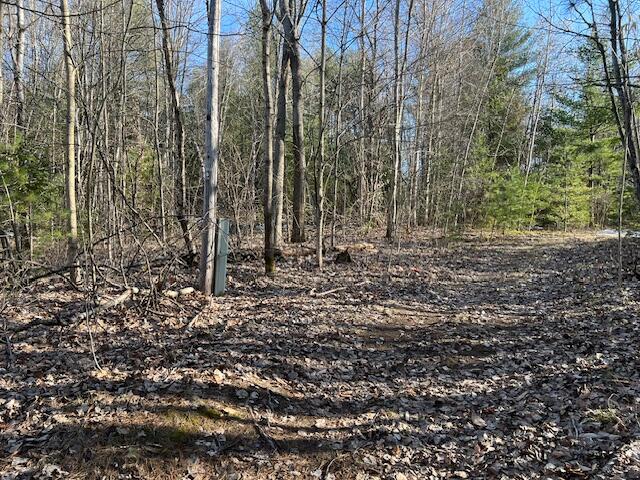 0 Burnt Hill Road Cadyville, NY 12918 - Photo 1 of 5