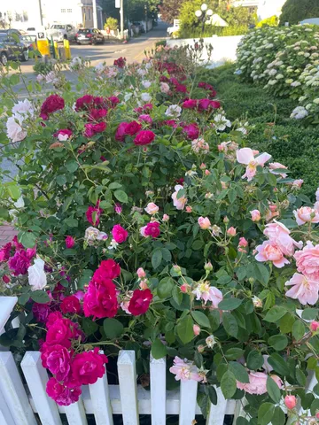 $6,995,000 | 54 Commercial Street, Unit 3 4 5 6, Provincetown, MA 02657