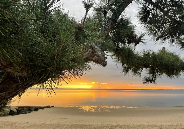 $6,995,000 | 54 Commercial Street, Unit 3 4 5 6, Provincetown, MA 02657