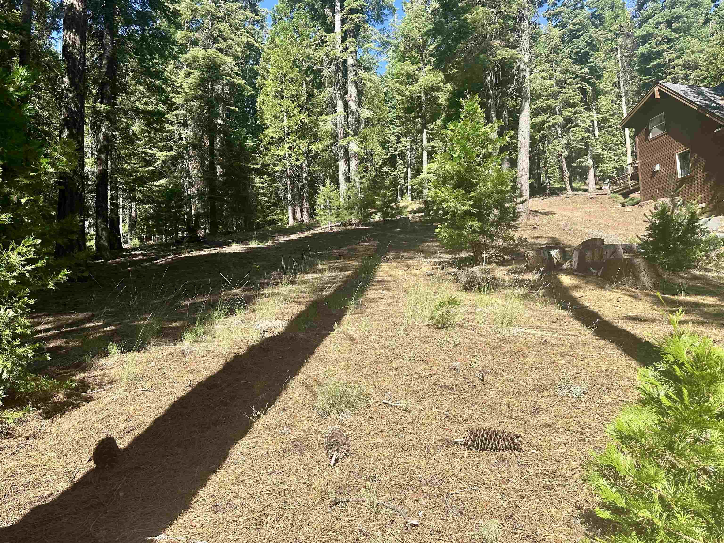 623 Cedar Canyon Road Lake Almanor, CA 96137 - Photo 4 of 4 a view of swimming pool with lounge chair
