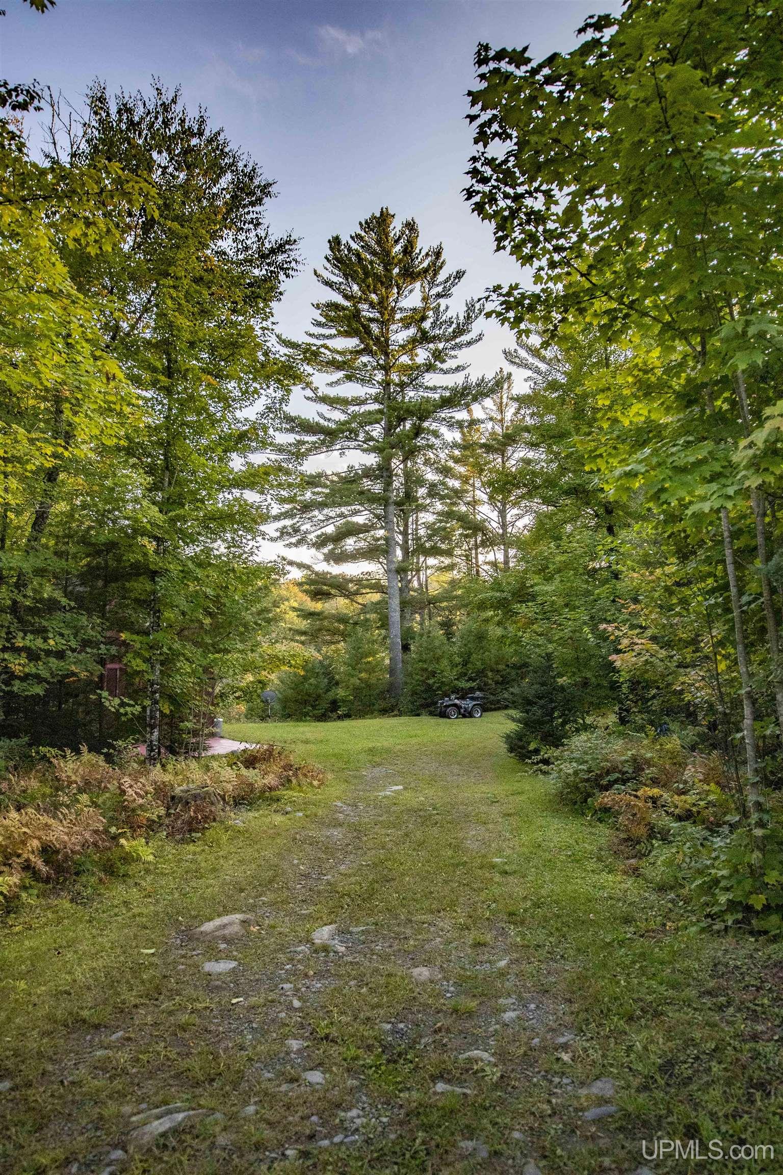 Tbd Luke Road Amasa, MI 49903 - Photo 23 of 64
