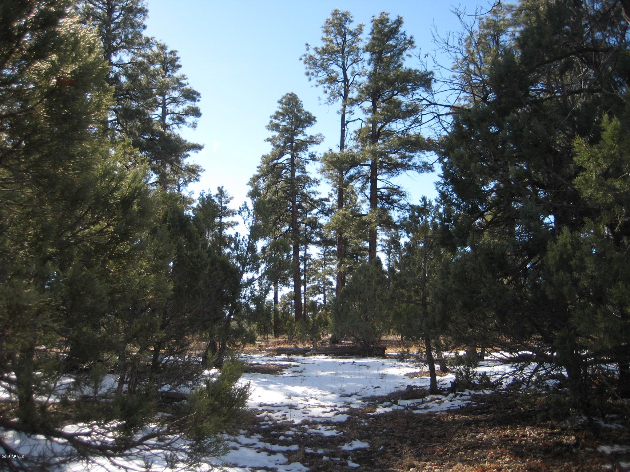 Tbd Hooks Way, Unit 2 Overgaard, AZ 85933 - Photo 12 of 19 IMG_3923