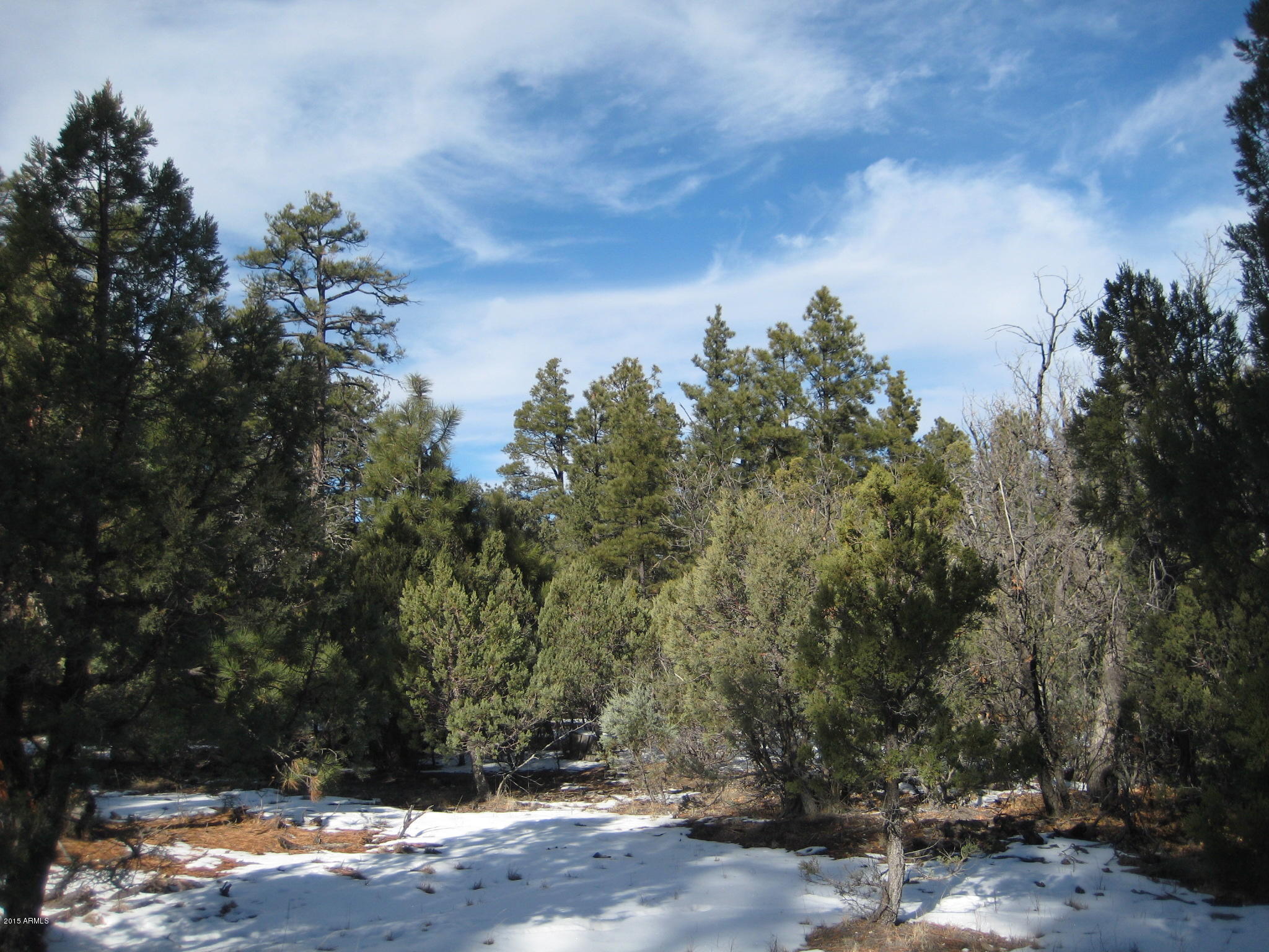 Tbd Hooks Way, Unit 2 Overgaard, AZ 85933 - Photo 14 of 19 IMG_3925