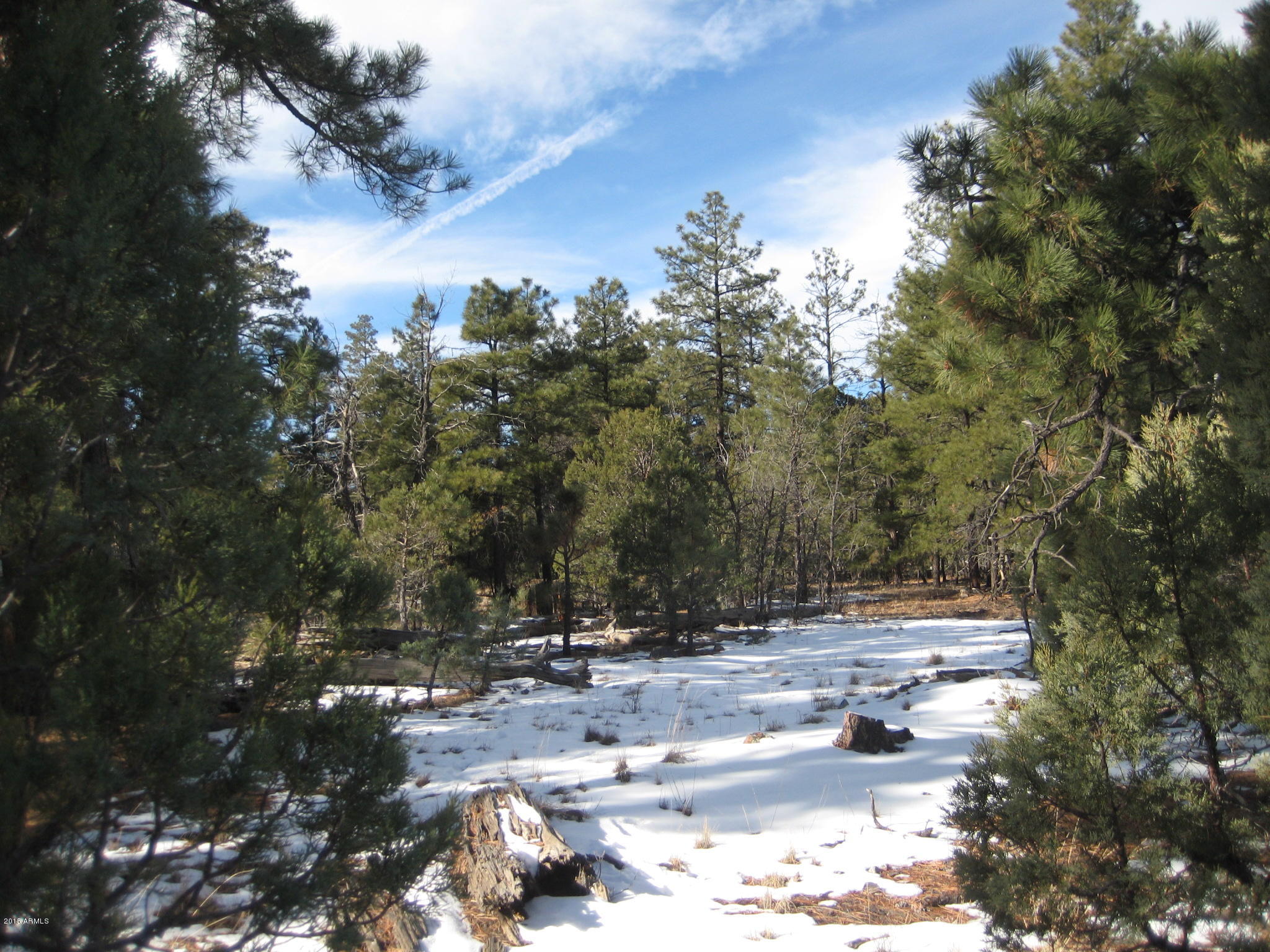 Tbd Hooks Way, Unit 2 Overgaard, AZ 85933 - Photo 15 of 19 IMG_3926