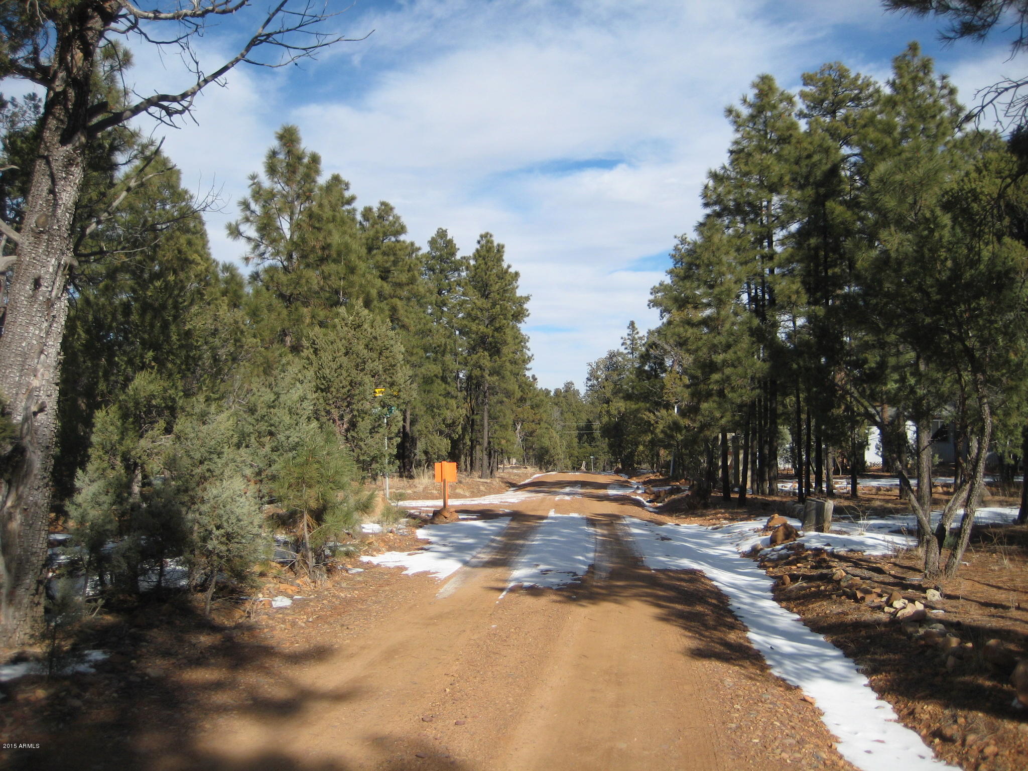 Tbd Hooks Way, Unit 2 Overgaard, AZ 85933 - Photo 18 of 19 IMG_3929