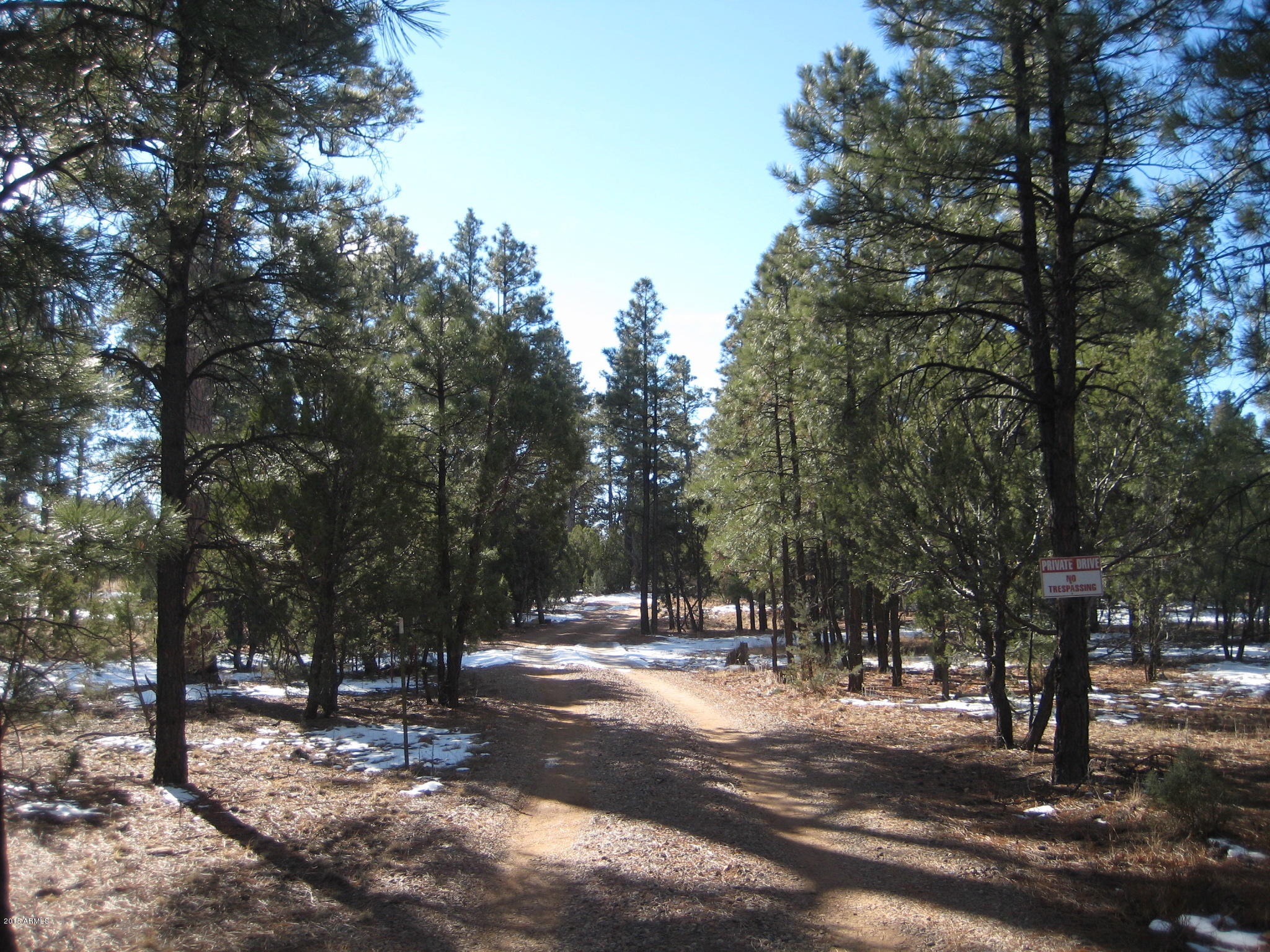 Tbd Hooks Way, Unit 2 Overgaard, AZ 85933 - Photo 2 of 19 IMG_3913