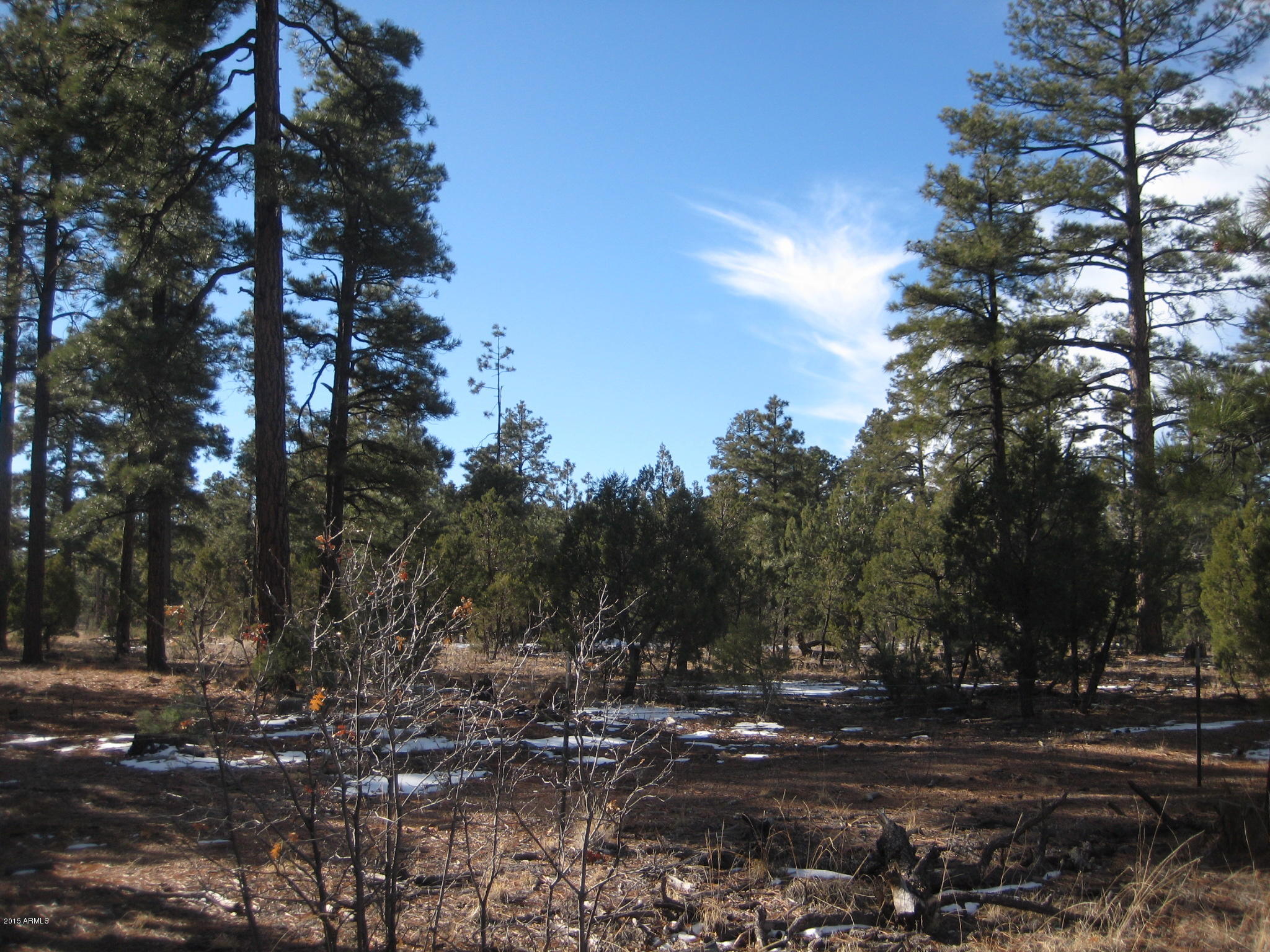 Tbd Hooks Way, Unit 2 Overgaard, AZ 85933 - Photo 7 of 19 IMG_3918