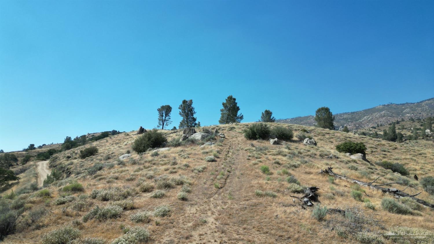0 Piute Mountain Road Caliente, CA 93518 - Photo 14 of 35 Gallery Image 14