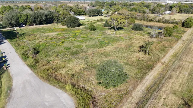 a view of a yard with plants