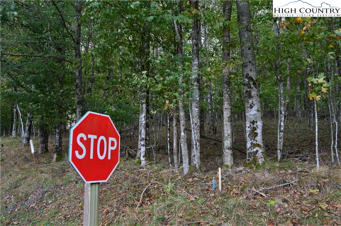 Xx Northridge Road Beech Mountain, NC 28604 - Photo 3 of 8 a view of outdoor space with sign board