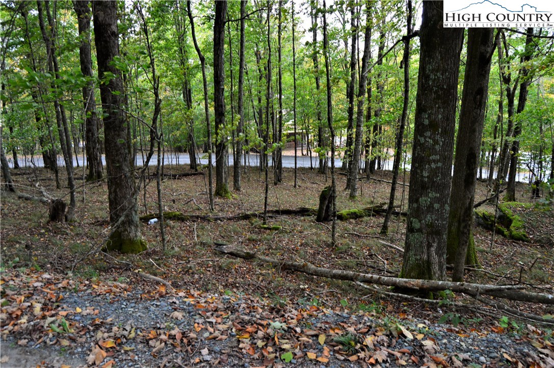 Xx Northridge Road Beech Mountain, NC 28604 - Photo 5 of 8 a backyard of a house with lots of green space