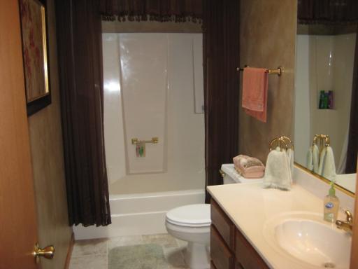 25534 South Pinewood Lane Monee, IL 60449 - Photo 12 of 16