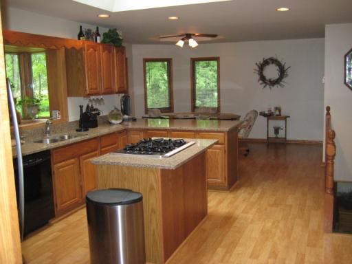 25534 South Pinewood Lane Monee, IL 60449 - Photo 3 of 16