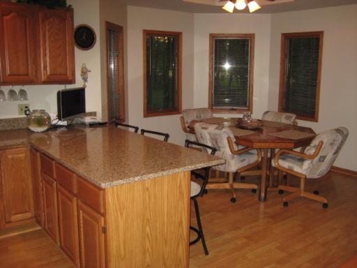 25534 South Pinewood Lane Monee, IL 60449 - Photo 4 of 16