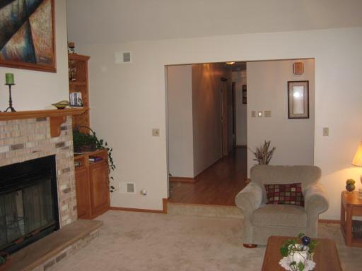 25534 South Pinewood Lane Monee, IL 60449 - Photo 6 of 16