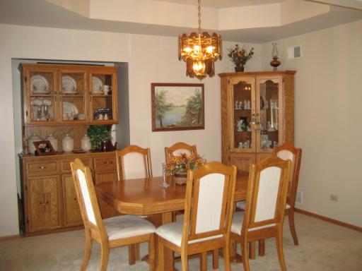 25534 South Pinewood Lane Monee, IL 60449 - Photo 8 of 16