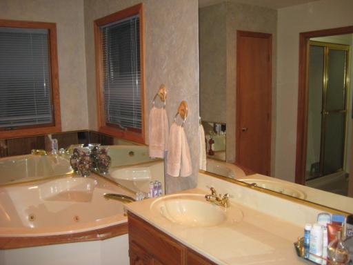 25534 South Pinewood Lane Monee, IL 60449 - Photo 10 of 16