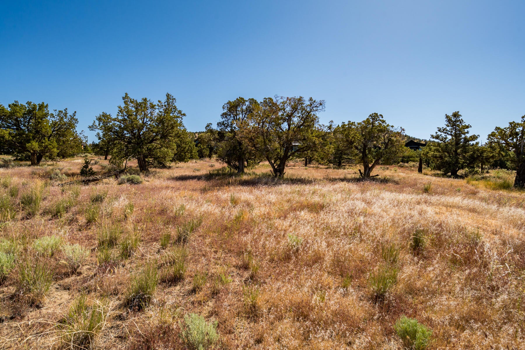 Lot 141 Southwest Brasada Ranch Road Powell Butte, OR 97753 - Photo 17 of 20 JH5_2130