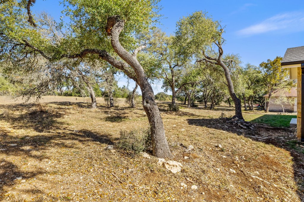 47 War Bonnet Wimberley, TX 78676 - Photo 37 of 40 View of yard