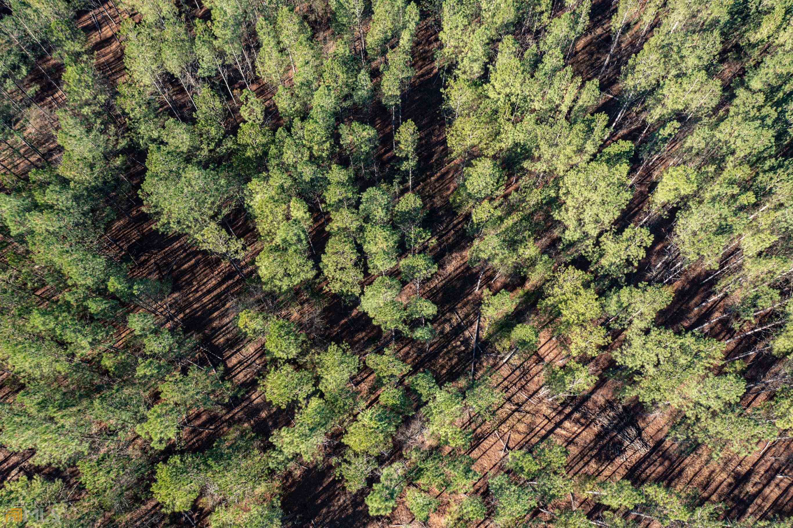 0 Millen Road Monticello, GA 31064 - Photo 1 of 1