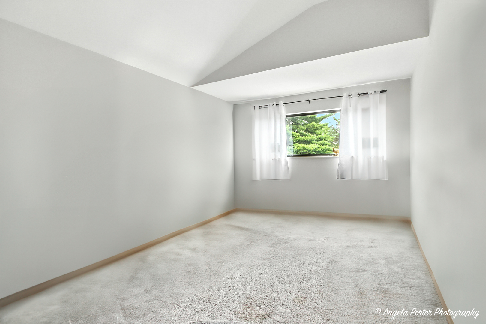 4119 White Ash Road Crystal Lake, IL 60014 - Photo 19 of 48 an empty room with windows