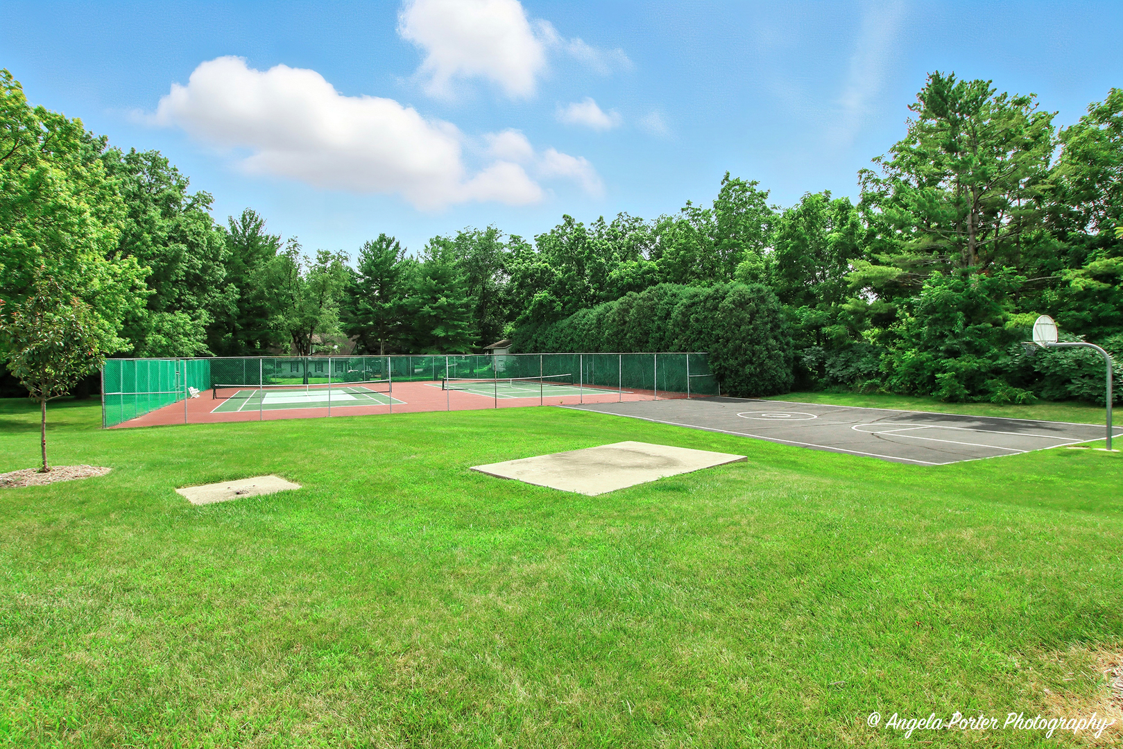 4119 White Ash Road Crystal Lake, IL 60014 - Photo 40 of 48