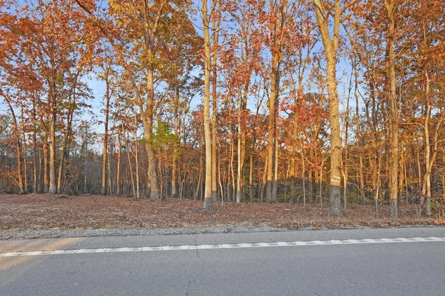 a view of yard with large trees