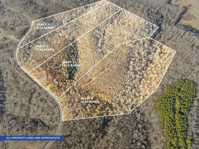 a view of an ocean and mountain