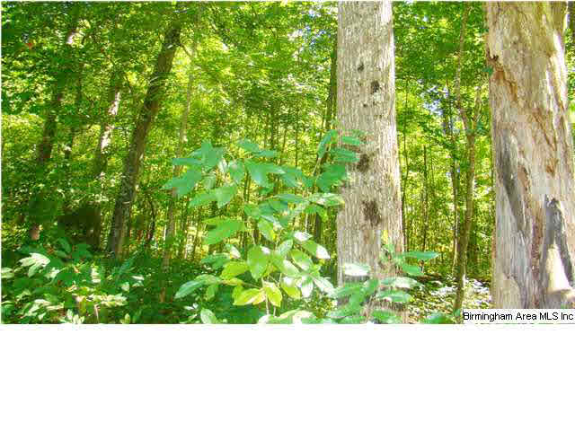 Stagg Run Circle, Unit 19 Pelham, AL 35124 - Photo 3 of 17