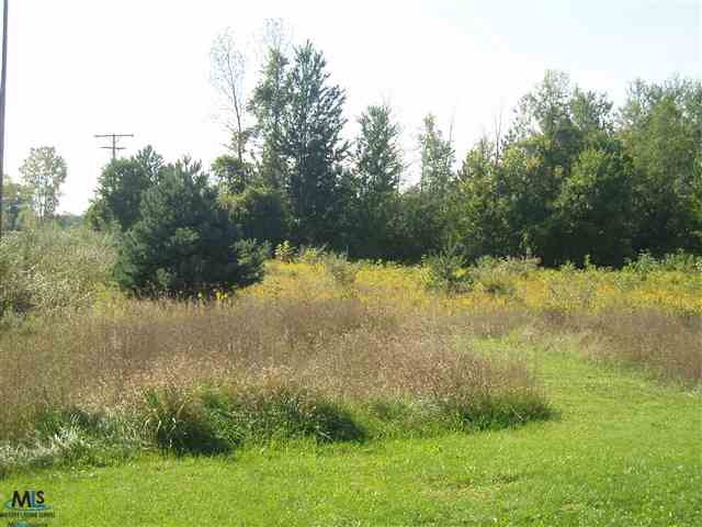 4371 Applegate Road Applegate, MI 48401 - Photo 28 of 30 31058372-27.JPG