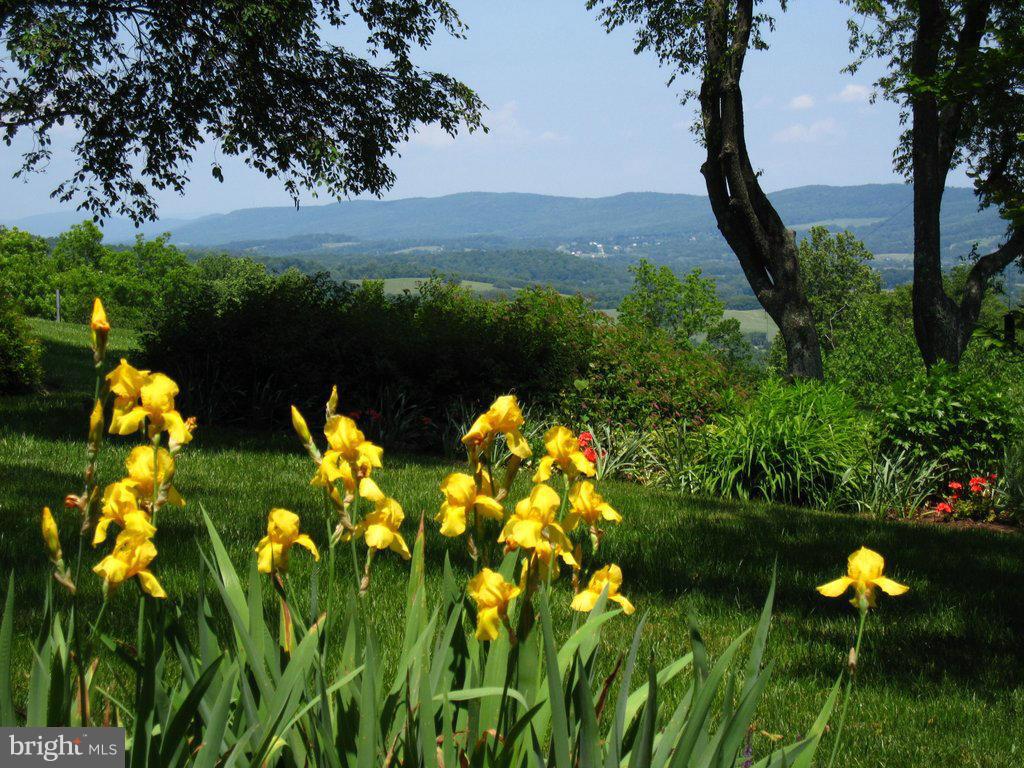 34876 Sunny Ridge Road Round Hill, VA 20141 - Photo 24 of 29 View