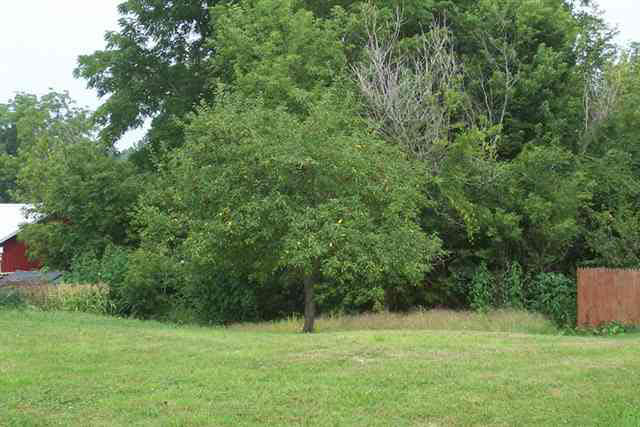 448 Washington Street Rome City, IN 46784 - Photo 3 of 3