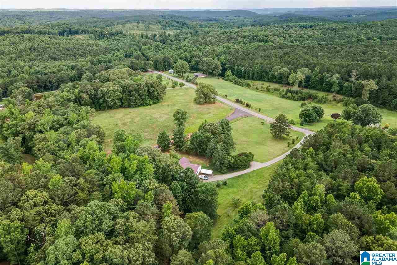 12363 Bama Rock Garden Road Vance, AL 35490 - Photo 46 of 48