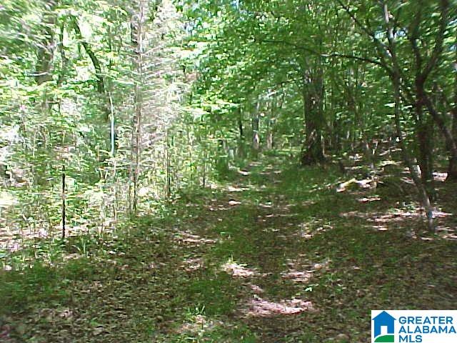 6530 County Road 17 Alabaster, AL 35114 - Photo 19 of 25