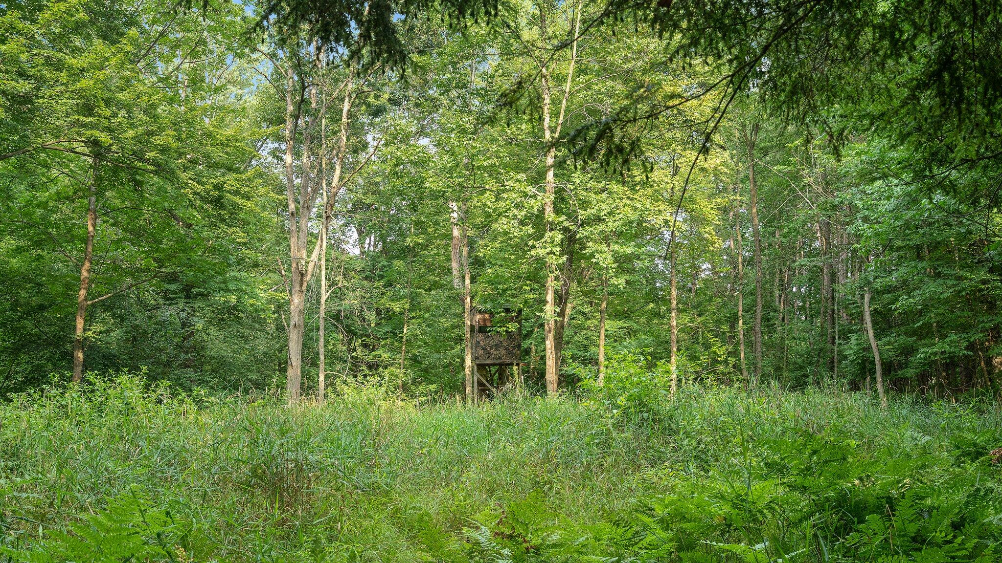 V/l Fitzner Road Lakeview, MI 48850 - Photo 13 of 14 65-web-or-mls-DSC08874