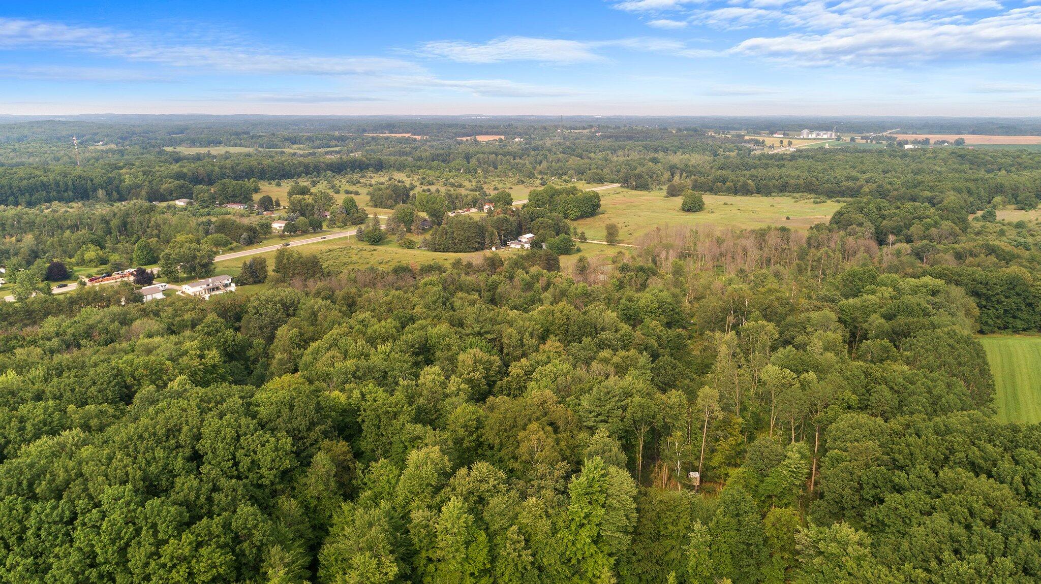 V/l Fitzner Road Lakeview, MI 48850 - Photo 3 of 14 11-web-or-mls-DJI_0723