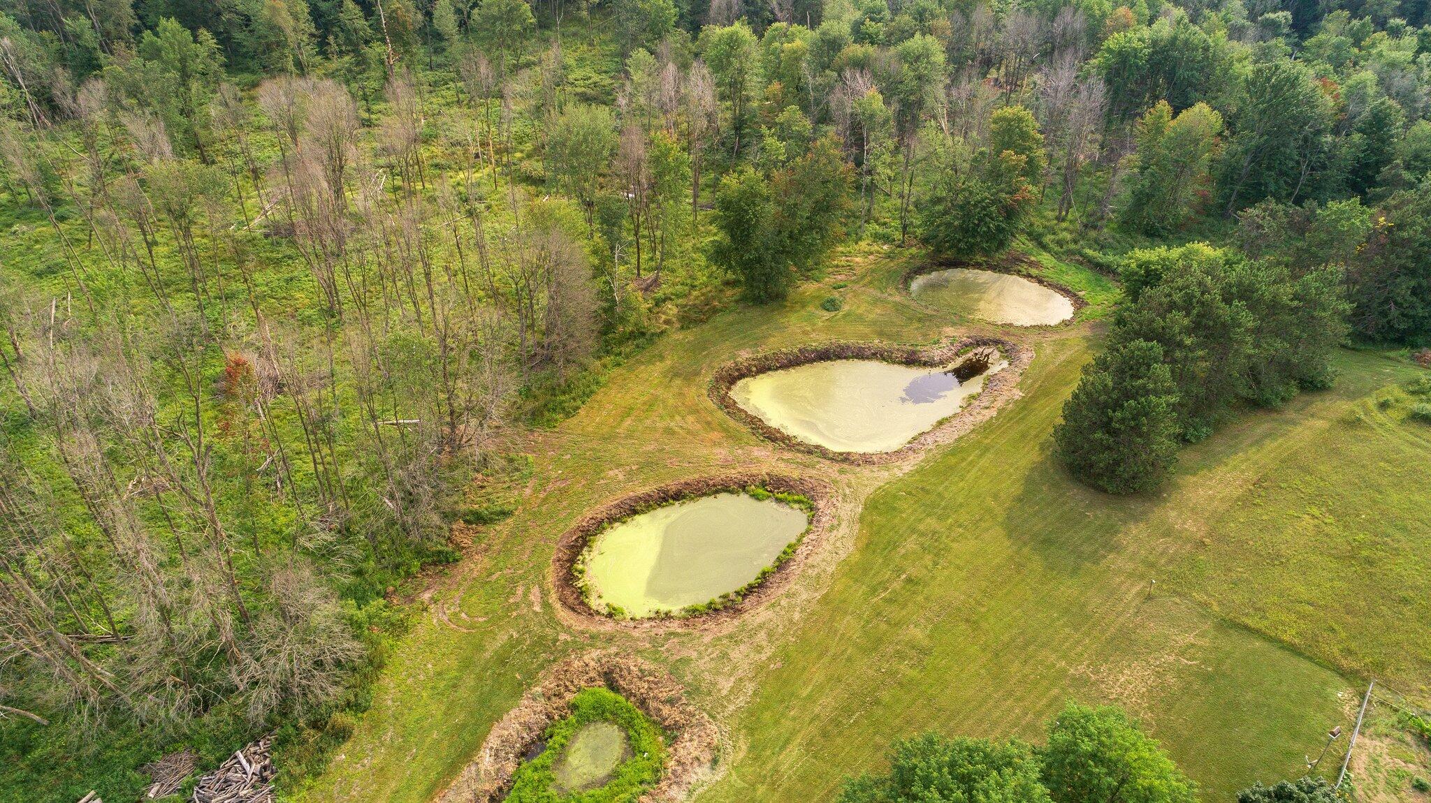 V/l Fitzner Road Lakeview, MI 48850 - Photo 7 of 14 4-web-or-mls-DJI_0707