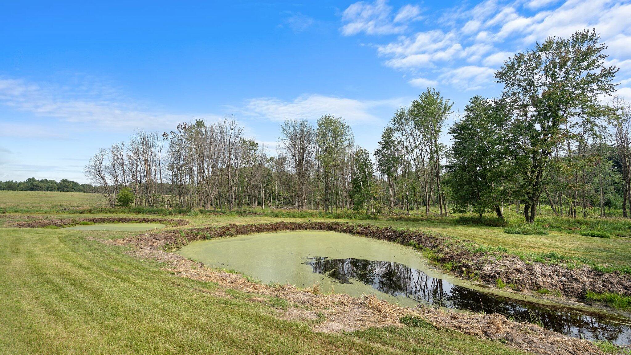 V/l Fitzner Road Lakeview, MI 48850 - Photo 8 of 14 59-web-or-mls-DSC08868
