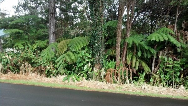20 Wright Road Volcano, HI 96785 - Photo 2 of 4 Gallery Image 2