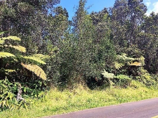 20 Wright Road Volcano, HI 96785 - Photo 3 of 4 Gallery Image 3