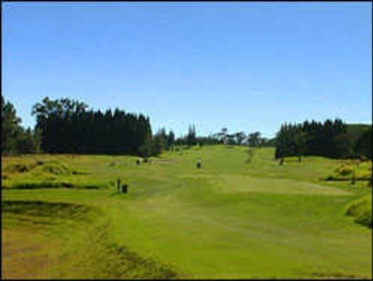 20 Wright Road Volcano, HI 96785 - Photo 4 of 4 Gallery Image 4